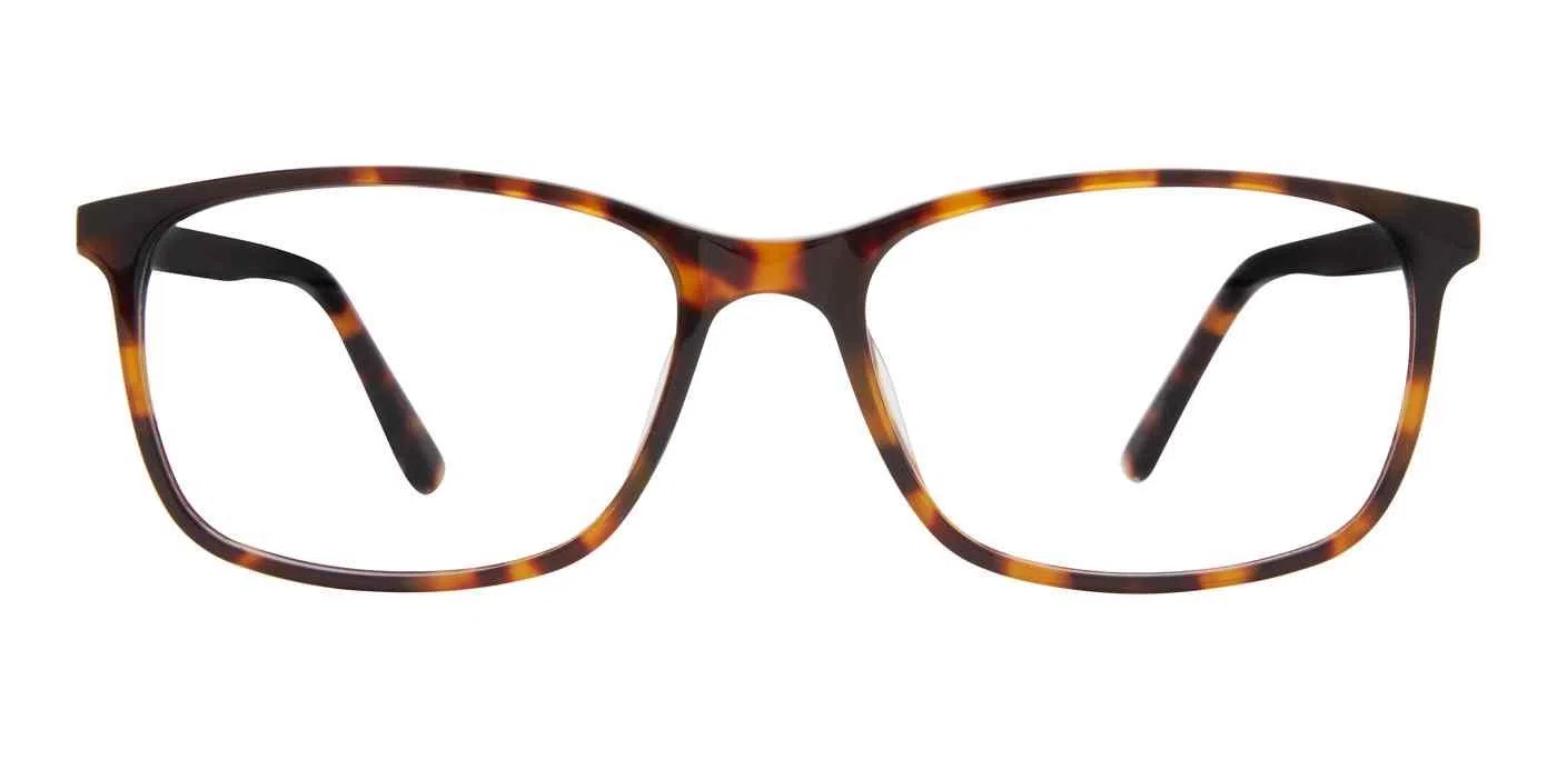 Adensco 130 Eyeglasses - Gray - view 30